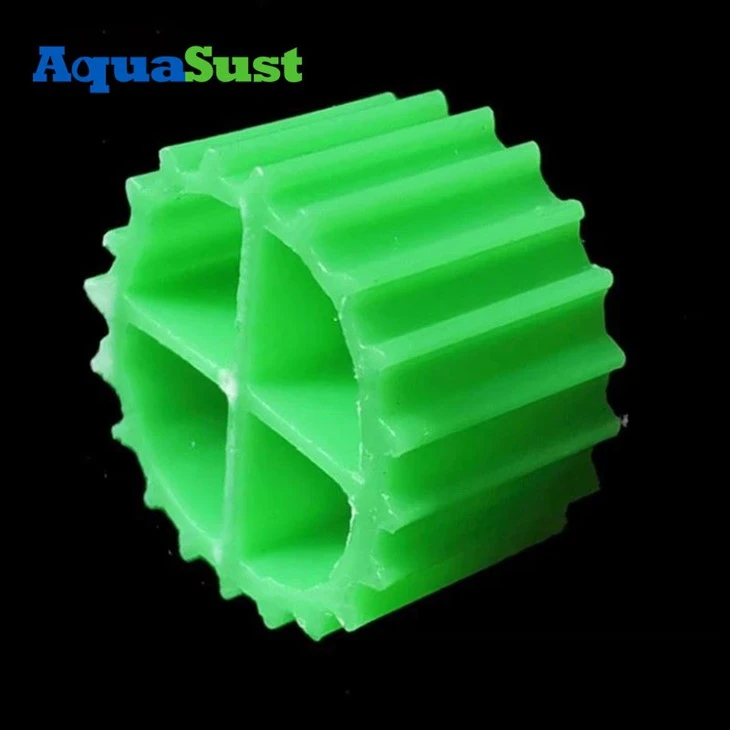 Meilleurs médias bio